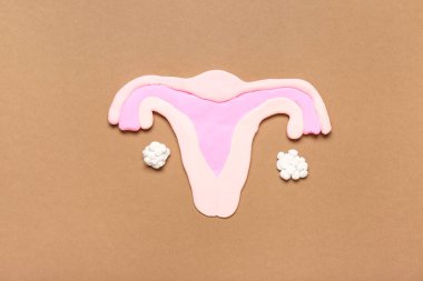 Kahverengi arka planda plastiksi rahim