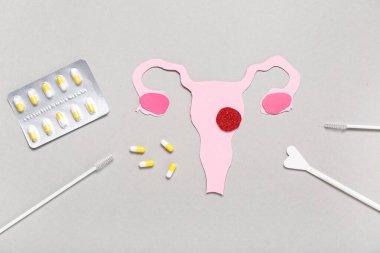 Gri arka planda haplı kağıt rahim ve Pap smear test araçları