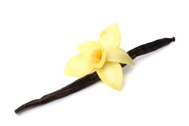 Beyaz arka planı olan güzel bir vanilya çiçeği