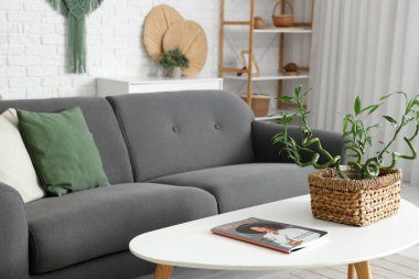 Oturma odasındaki kanepenin yanındaki kahve masasında bambu sapları var.