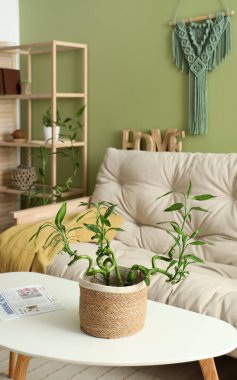 Kahve masası ve kanepenin üzerinde bambu sapları olan yeşil oturma odasının şık bir iç mekanı.