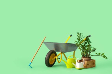 Yeşil arka planda bitki, bahçe aletleri ve el arabası