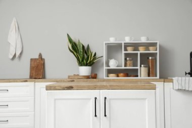 Ev bitkisiyle modern mutfağın iç mimarisi.