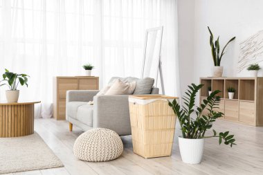 Kanepe, sepet ve bitkilerle modern oturma odasının içinde.