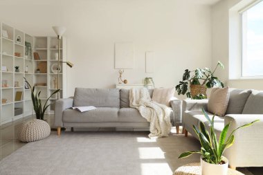 Gri koltukları, raf ünitesi ve ev bitkileriyle aydınlık oturma odasının içinde.