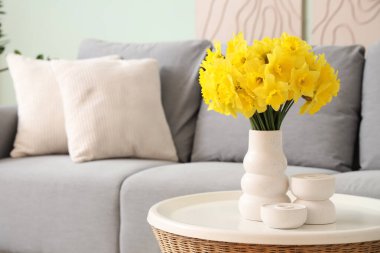 Gri kanepesi, kahve masası ve narsisli çiçekleri olan güzel bir oturma odası. Yakın plan.