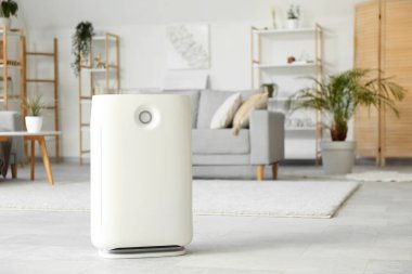 Modern nemlendirici ve gri kanepe şık bir oturma odasında.