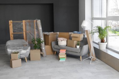 Taşındığı gün oturma odasında kanepe ve karton kutular var.