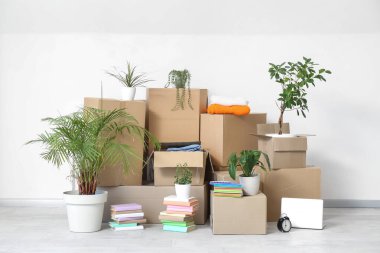 Taşındığı gün beyaz duvarın yanındaki ışık odasında saksılar ve karton kutular.