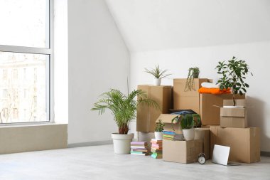 Taşındığı gün beyaz duvarın yanındaki ışık odasında saksılar ve karton kutular.