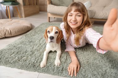 Tatlı av köpeği olan genç bir kadın evde selfie çekiyor.