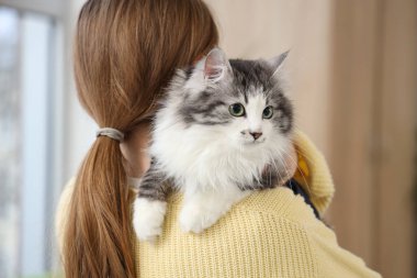 Sahibi evde kısırlaştırmadan sonra sevimli bir kedi tutuyor.