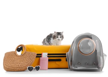 Sırt çantalı, çantalı ve beyaz arka planda seyahat aksesuarları olan sevimli bir kedi.