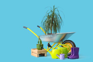 Bitkiler, bahçe aletleri ve mavi arka planda el arabası