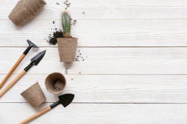 Turba tenceresinde kaktüs, beyaz ahşap arka planda tırmık ve kürek. Üst görünüm