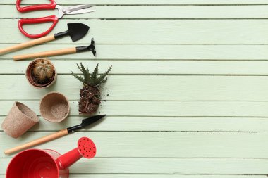 Yeşil ahşap arka planda bitki ve alet edevat nakli bileşimi. Üst görünüm