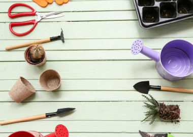 Yeşil ahşap arka planda bitki ve alet edevat nakli bileşimi. Üst görünüm