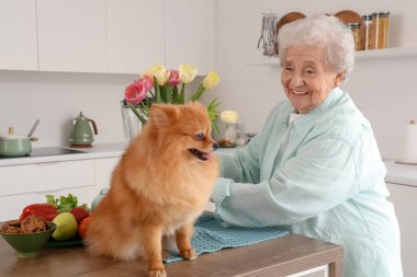 Mutfaktaki masada laleli ve Pomeranya köpeği olan yaşlı kadın.