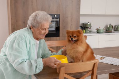 Yaşlı kadın mutfakta Pomeranya köpeğini besliyor.