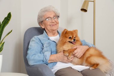 Pomeranya köpekli yaşlı kadın evinde koltukta oturuyor.