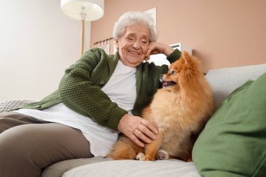 Pomeranya köpeği olan yaşlı bir kadın evdeki kanepede oturuyor.