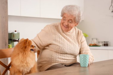 Mutfaktaki masada çay ve Pomeranya sosisli sandviçli son sınıf kadını.
