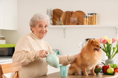 Pomeranya köpeğiyle kıdemli kadın mutfaktaki masaya çay koyuyor.