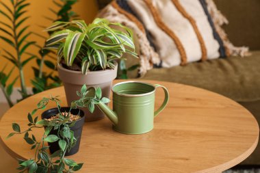 Sarı oturma odasının içi rahat kanepe, sehpa ve çiçekli, yakın plan.