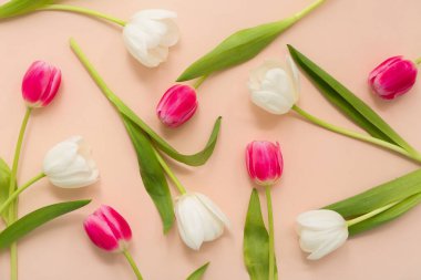 Pembe arka planda güzel laleleri olan kompozisyon