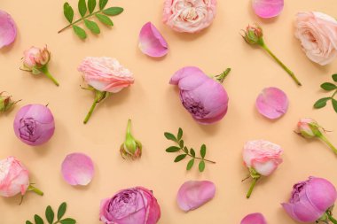 Bej arka planda pembe çiçekli güzel kompozisyon