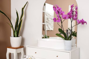 Banyoda lavabosu ve aynası olan orkide çiçeği.