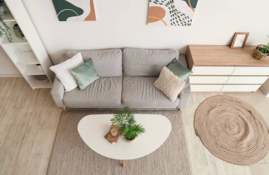 Modern interior of living room with grey sofa, chest of drawers and houseplant on table