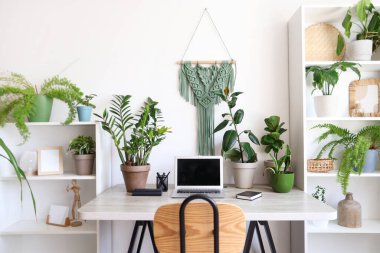 Interior of light office with workplace, shelf units and green houseplants
