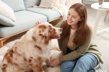Evcil hayvan yatağında sevimli Avustralya çoban köpeği olan genç bir kadın.