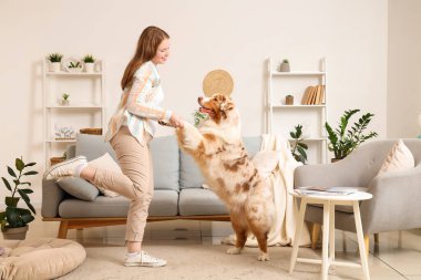 Evinde elinde şirin Avustralya çoban köpeğinin patileri olan genç bir kadın.