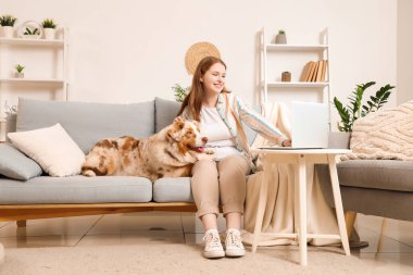 Şirin bir Avustralya çoban köpeği ve dizüstü bilgisayarı olan genç bir kadın evdeki kanepede oturuyor.