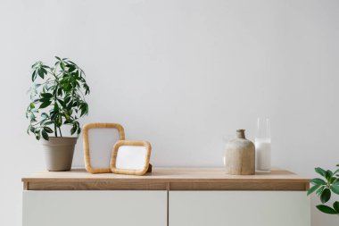 Işık duvarının yanındaki klozette bitki bulunan boş fotoğraf çerçeveleri