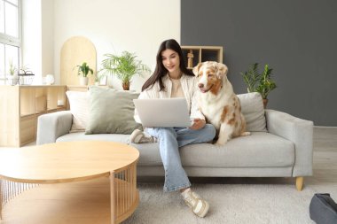 Avustralya çoban köpeği olan genç bir kadın evdeki kanepede dizüstü bilgisayar kullanıyor.