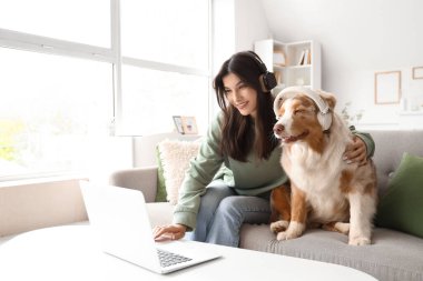 Evde dizüstü bilgisayar kullanan kulaklıklı, Avustralya çoban köpeği olan genç bir kadın.