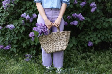 Bahar günü parkta elinde bir demet leylak çiçeğiyle hasır çanta tutan güzel genç bir kadın. Yakın plan.