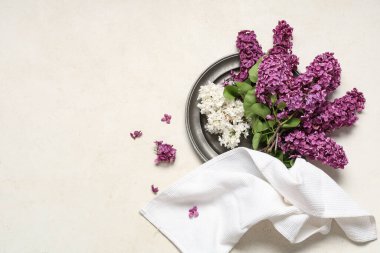 Beyaz arka planda çiçek açan leylak çiçekleri