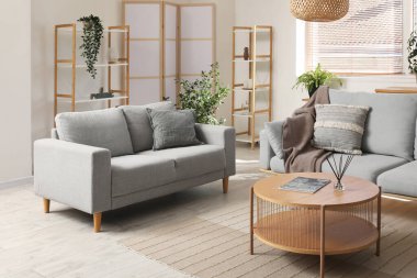 Oturma odasının içinde gri kanepeler, kahve masası, ev bitkileri ve beyaz duvarın yanındaki katlanan ekran.