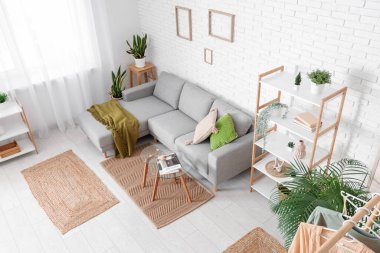 Rahat kanepesi, çiçekleri, sehpası ve raf ünitesi olan bir oturma odası.