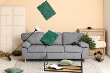 Depremden sonra kanepe ile yıkılmış oturma odasının içi.