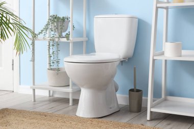 Tuvalet klozeti ve mavi duvarın yanında raf ünitesi olan tuvaletin içinde.