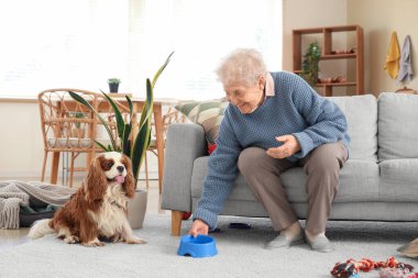 Evcil hayvan kasesi ve sevimli süvari Kral Charles spaniel köpeği olan yaşlı bir kadın.