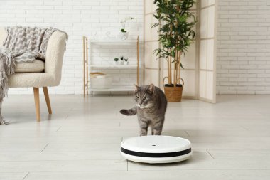 Modern robot elektrikli süpürgesi olan sevimli bir kedi.