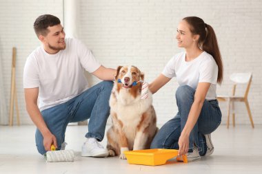 Şirin köpekleri ve bigudileri olan mutlu genç çift yeni evlerine duvar boyamayı planlıyor.