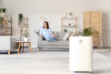 Modern nemlendirici ve genç bir kadın oturma odasında dinleniyor.