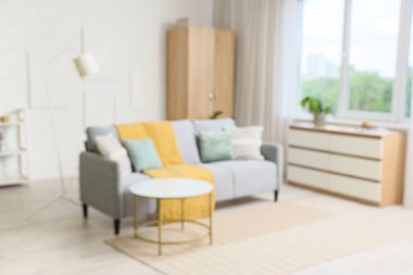 Interior of stylish living room with grey sofa, drawers and closet
